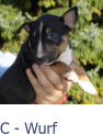 C - Wurf