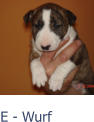 E - Wurf