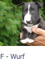 F - Wurf