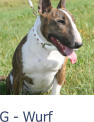 G - Wurf