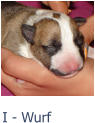 I - Wurf