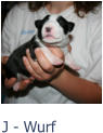 J - Wurf