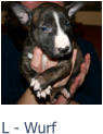 L - Wurf