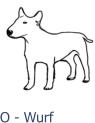 O - Wurf