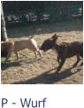 P - Wurf