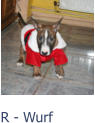 R - Wurf