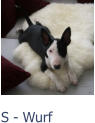 S - Wurf