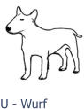 U - Wurf