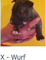 X - Wurf