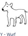 Y - Wurf