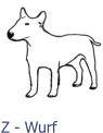Z - Wurf