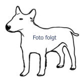 Foto folgt