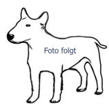 Foto folgt